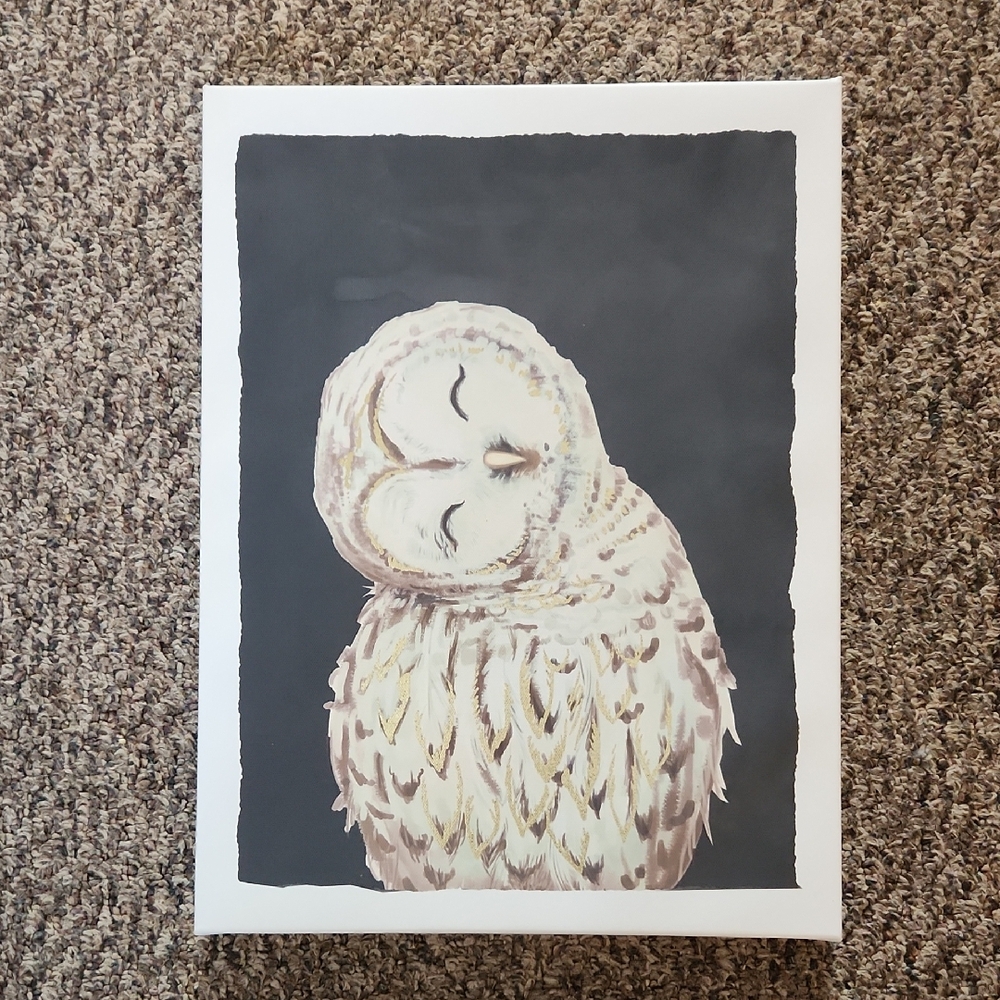 Hobby Lobby Serene Owl Canvas Painting - Cream, Gold and Brown